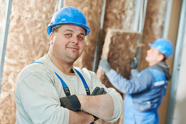 Best Types of Insulation in Venice, IL