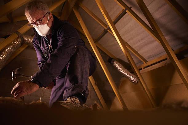 Best Insulation Maintenance and Repair in Venice, IL